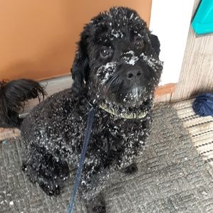 Meet your Posher, Lori